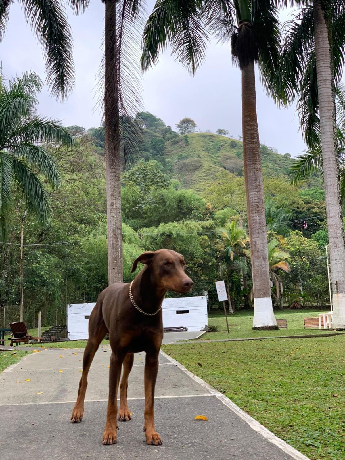 San Jerónimo Finca Hotel La Consentida Escondida المظهر الخارجي الصورة