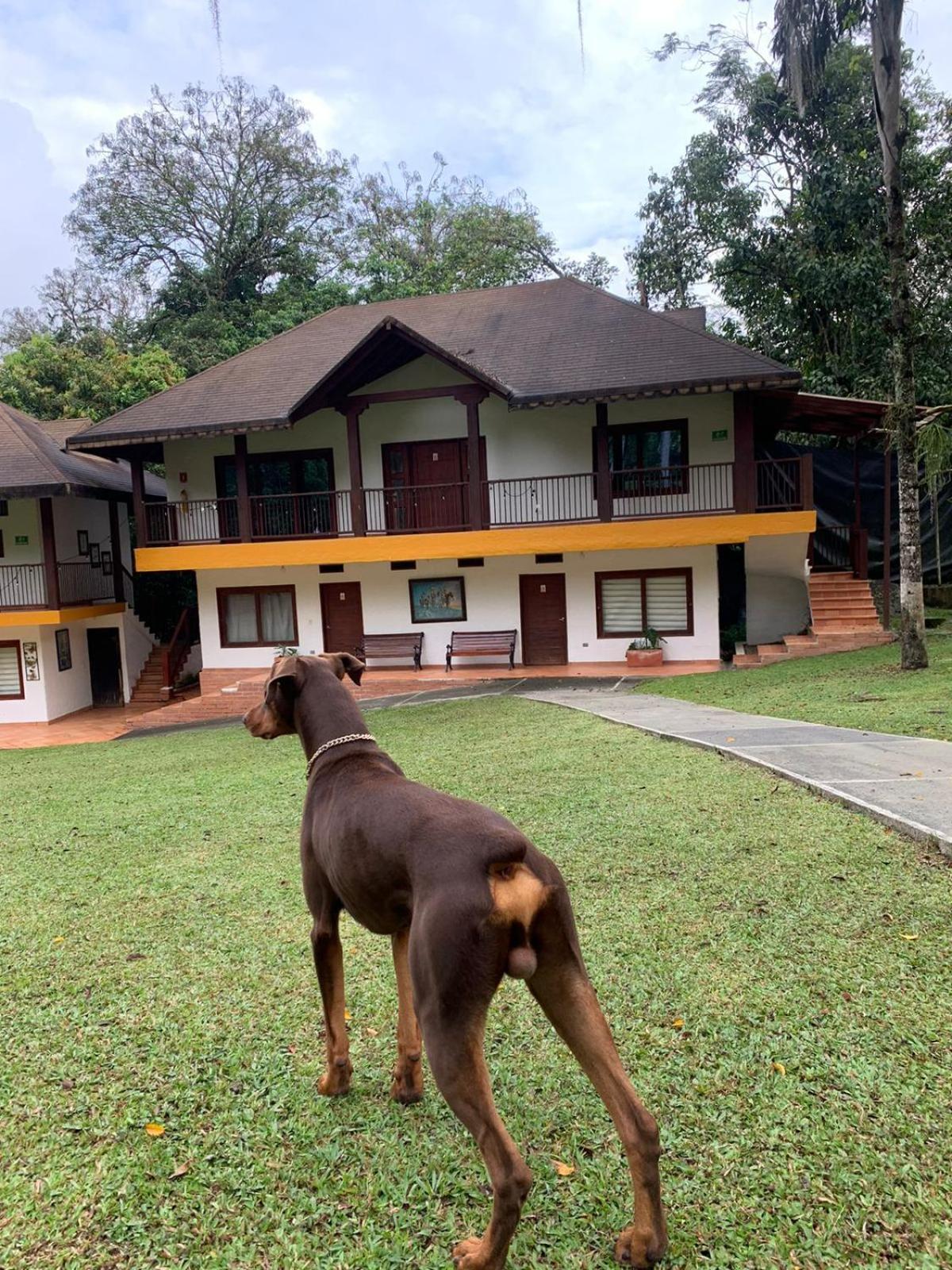 San Jerónimo Finca Hotel La Consentida Escondida المظهر الخارجي الصورة